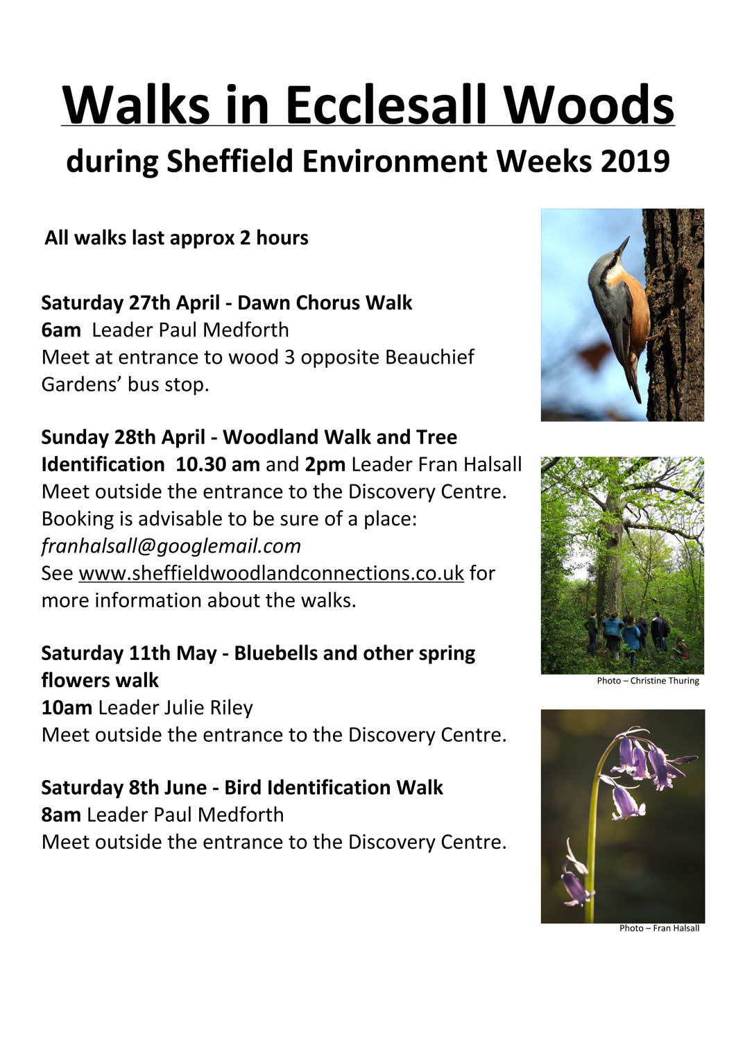 Sheffield Environment Weeks 2019 – Ecclesall Woods walks