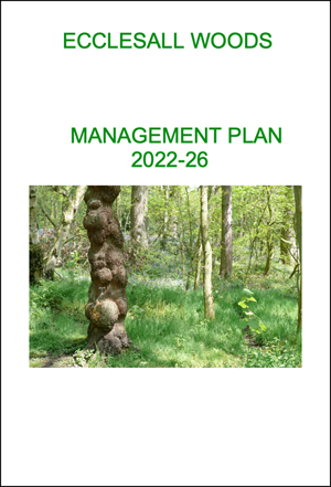 2022-2026 Ecclesall-Woods Management Plan