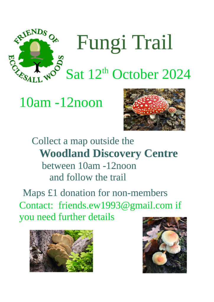 Ecclesall Woods fungi trail